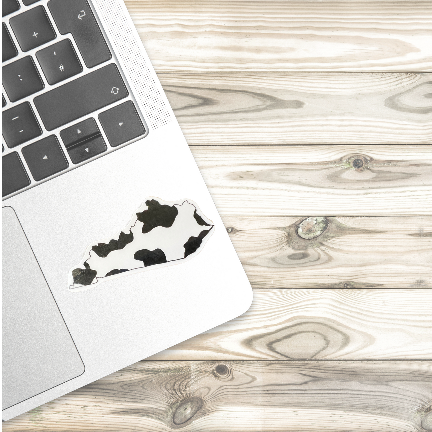 Kentucky State Cow Print Decal Sticker